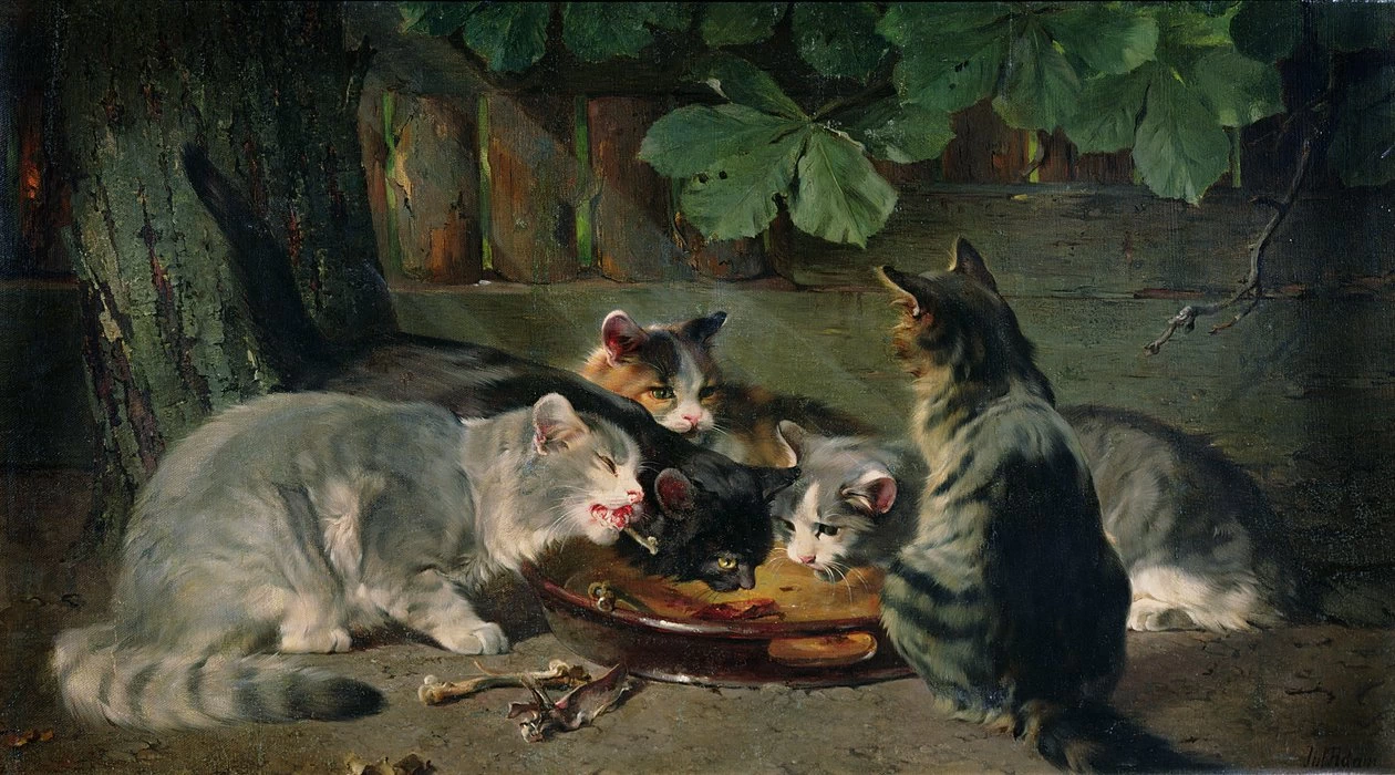 Ora di cena